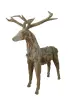  Product image 1 of the product “Standing Deer, the horns can be removed. About 168cm length and 150cm height . ”